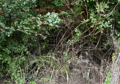 Kněžice u kostela, Omnium, 2020