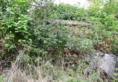 Kněžice u kostela, Omnium, 2020