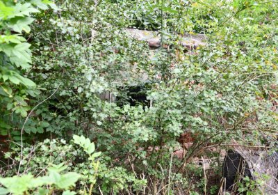 Kněžice u kostela, Omnium, 2020