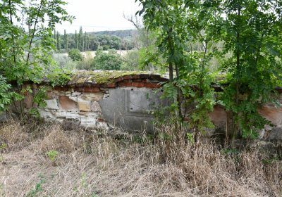 Kněžice u kostela, Omnium, 2020