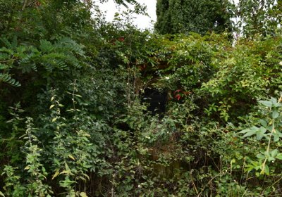 Kněžice u kostela, Omnium, 2020