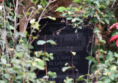 Kněžice u kostela, Omnium, 2020