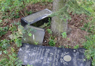 Kněžice u kostela, Omnium, 2020