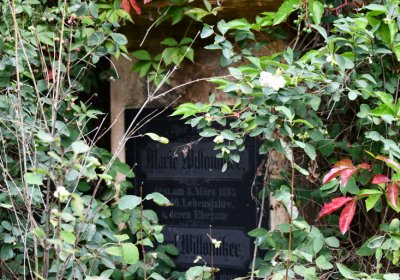 Kněžice u kostela, Omnium, 2020