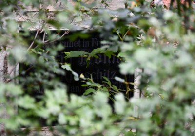 Kněžice u kostela, Omnium, 2020