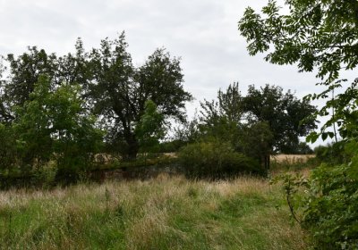 Kněžice u kostela, Omnium, 2020