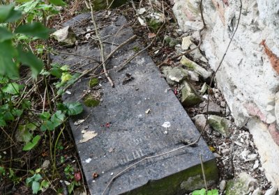 Kněžice u kostela, Omnium, 2020