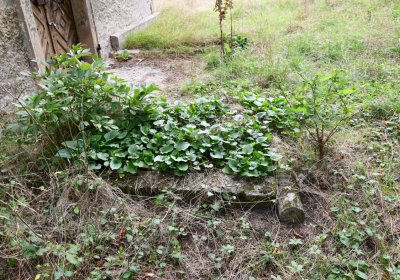 Kněžice u kostela, Omnium, 2020