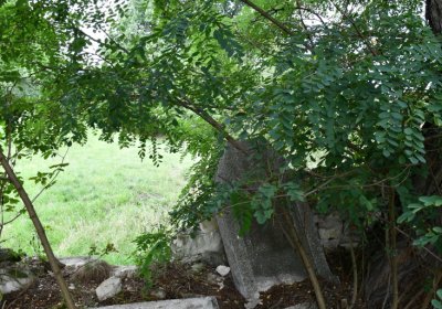 Kněžice u kostela, Omnium, 2020