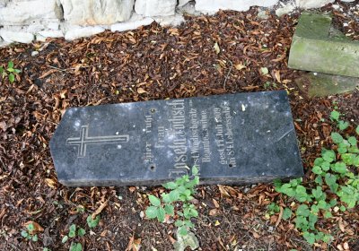 Kněžice u kostela, Omnium, 2020