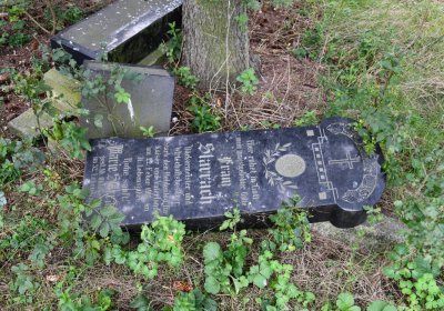 Kněžice u kostela, Omnium, 2020