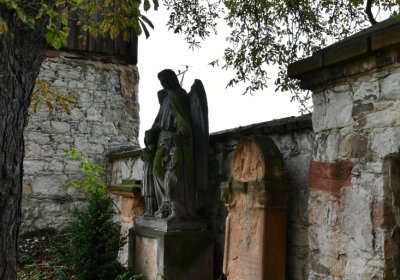 Kněžice u kostela, Omnium, 2020