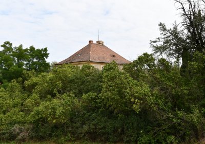 Kněžice u kostela, Omnium, 2020