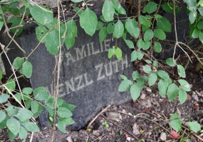 Kněžice u kostela, Omnium, 2020