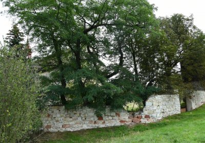 Kněžice u kostela, Omnium, 2020