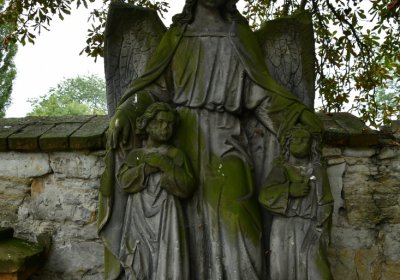 Kněžice u kostela, Omnium, 2020