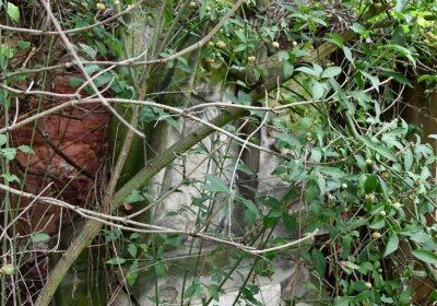 Kněžice u kostela, Omnium, 2020