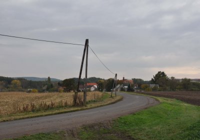 Omnium, 2016