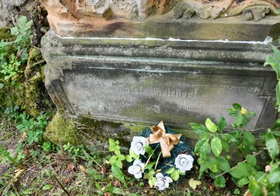 Očihov, Omnium, 2020