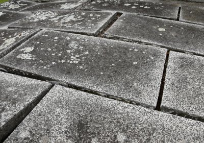 Očihov, Omnium, 2020