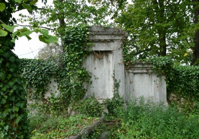 Očihovec, Omnium, 2020