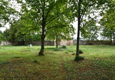 Očihovec, Omnium, 2020