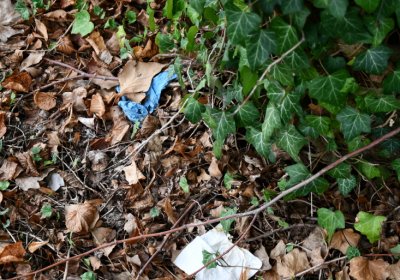 Očihovec, Omnium, 2020