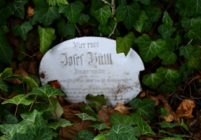 Očihovec, Omnium, 2020