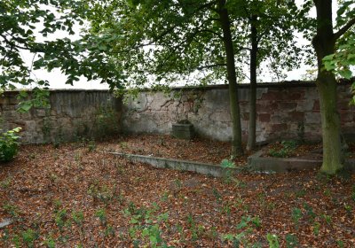 Očihovec, Omnium, 2020