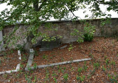 Očihovec, Omnium, 2020