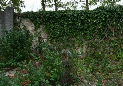 Očihovec, Omnium, 2020