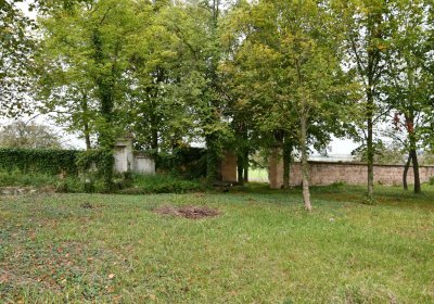 Očihovec, Omnium, 2020