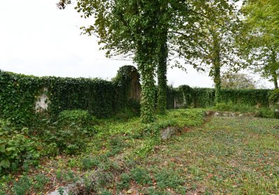 Očihovec, Omnium, 2020