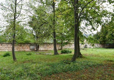 Očihovec, Omnium, 2020