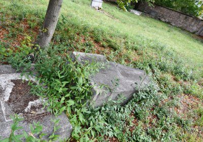 Očihovec, Omnium, 2020