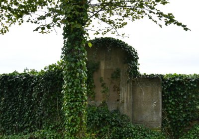 Očihovec, Omnium, 2020