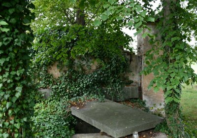 Očihovec, Omnium, 2020