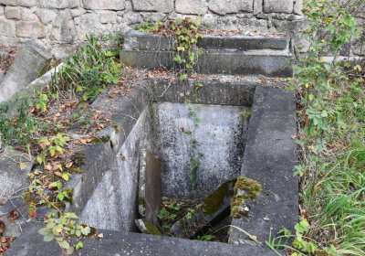 Očihovec, Omnium, 2020