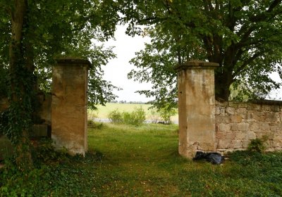 Očihovec, Omnium, 2020