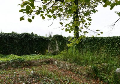 Očihovec, Omnium, 2020