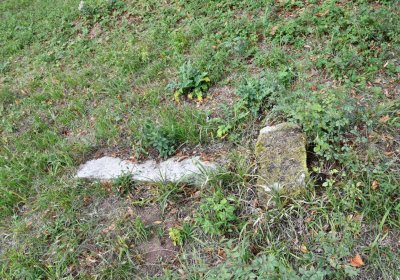 Očihovec, Omnium, 2020