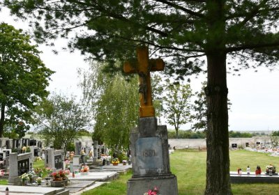 Krásný Dvůr, Omnium, 2020