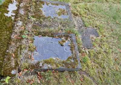 Krásný Dvůr, Omnium, 2020