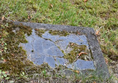 Krásný Dvůr, Omnium, 2020