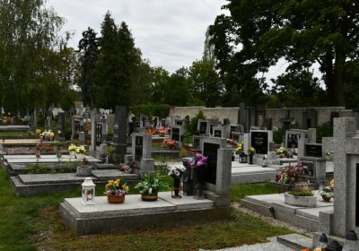 Krásný Dvůr, Omnium, 2020