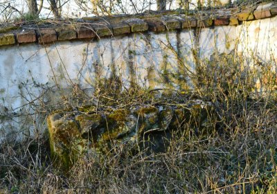 Břehovská Dáša, 2017