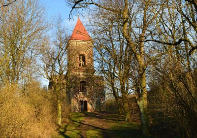 Břehovská Dáša, 2017