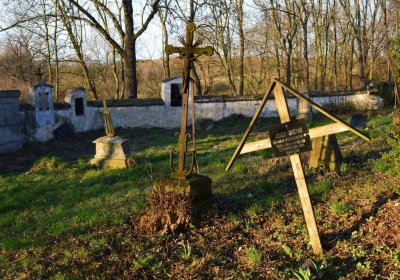 Břehovská Dáša, 2017