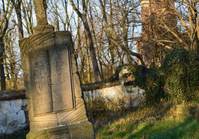 Břehovská Dáša, 2017