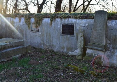 Břehovská Dáša, 2017